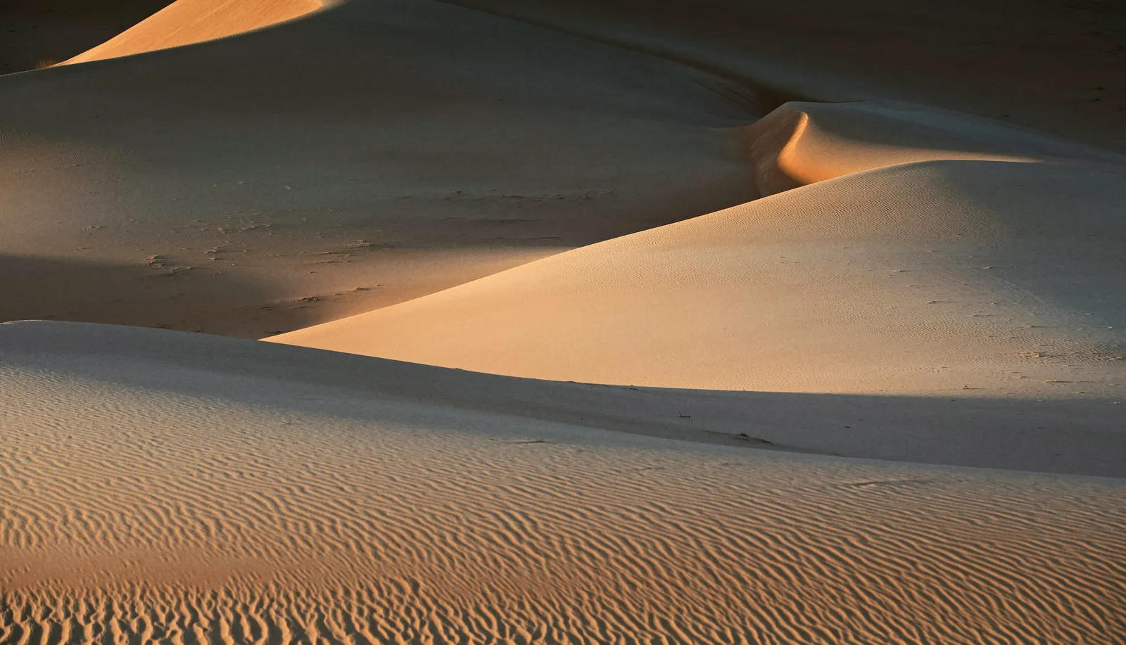 Sand dunes, one crest in the light, with wind ripples in the sand in front.